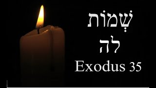 Exodus 35  Sabbath regulations Gifts for the Tabernacle Bezalel and Oholiab [upl. by Atiuqram]