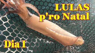 Dia 1 de pesca á Lula Ceia do Natal de lulas recheadas Pescaria ás Lulas entre amigos no Algarve [upl. by Higbee954]