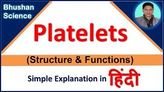 What is Platelet structure and functions simple explanation in hindi  Bhushan Science [upl. by Ecerehs]