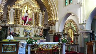 SACRED HEART CATHEDRAL THANJAVUR [upl. by Ybroc]