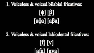 Bilabial and Labiodental Fricatives（英語発音聴取用） [upl. by Blunk147]