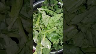 Radish Leaves Recipe  Mula Saag Ko Tarkari  recipe shorts shortsviral [upl. by Eidob]