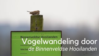 Vogelwandeling door de Binnenveldse Hooilanden 1207 [upl. by Eeresed]