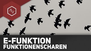 Funktionsscharen bei eFunktionen [upl. by Syla]