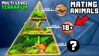 I made a multi level terrarium with 3 different animal species [upl. by Iliram308]