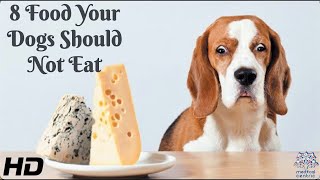 8 Food Your Dogs Should Not Eat [upl. by Enelav]