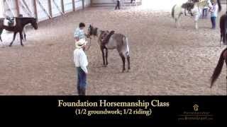 Brent Graef  Foundation Horsemanship Class [upl. by Ettenwahs]