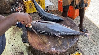 Speedy Tuna Fish Cutting Skills in Kasimedu Fish Market [upl. by Natfa]