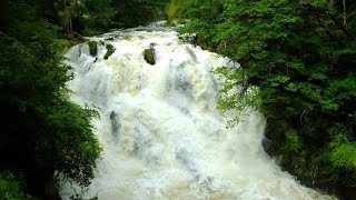 Swallow Falls near BetwsyCoed  North Wales  after a heavy rainfall the previous night [upl. by Nilhsa]