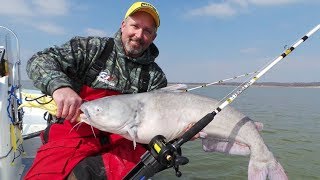 Team Catfish catching BIG BLUE CATFISH on Lake Texoma [upl. by Ecargyram]