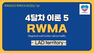 LAD territory echocardiography 심장초음파 heart echo view vLAD coronary artery RWMA territory [upl. by Ingamar527]