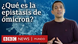 Qué es la epistasis y por qué es fundamental para entender a ómicron  BBC Mundo [upl. by Llennahs]