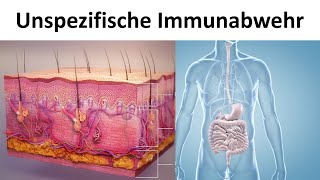 Unspezifische  angeborene Immunabwehr Biologie Oberstufe [upl. by Lamoree177]