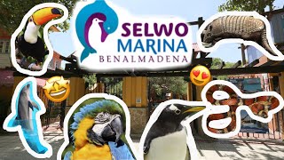 Selwo Marina benalmadena Málaga 🐬 [upl. by Wyatt]