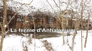 La ferme d’Anhalonium [upl. by Rolfe33]