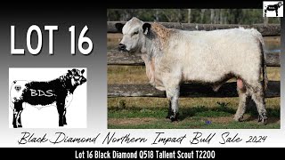 Lot 16 Black Diamond Q518 Tallent Scout T2200 [upl. by Eihtur]