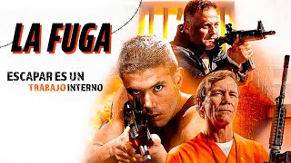 La Fuga 🏃  Película de Acción en Español Latino  Louis Mandylor Kristos Andrews [upl. by Cheston96]