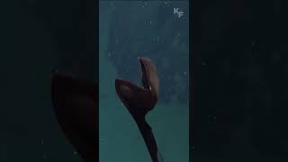 Gulper Eel A Deepsea Marvel with Astonishing Adaptations [upl. by Niattirb]