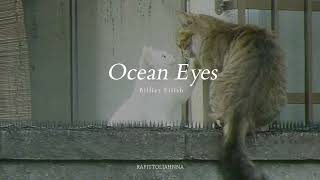 Billie Eilish  Ocean Eyes Slowed [upl. by Gentille]