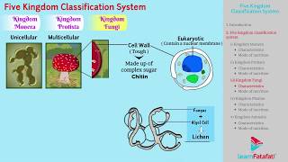 The Division Classes Explained  How Do Classes Work  Division Gameplay [upl. by Anemix281]