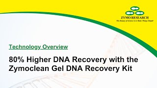 80 Higher DNA Recovery with the Zymoclean Gel DNA Recovery Kit  Zymo Research [upl. by Ellivro]