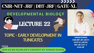 Early Development in Tunicates  Notochord Development  Development Biology [upl. by Boleyn]