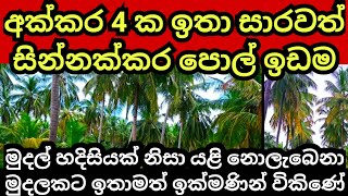 අක්කර 4 ක පොල් ඉඩම මුදල් හදිසියක් නිසා යළි කිසිදා නොලැබෙන මුදලකට Pol idam  Coconut land Land sale [upl. by Aihsrop]