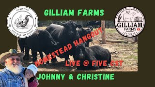 Homestead Hangout quotLive  5quot with Gilliam Farms 58 [upl. by Mandler]