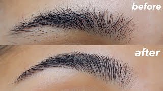 Eyebrow Shaping at Home  Easy Beginner Tutorial [upl. by Aliam]