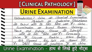 urine examination  urine test  urine examination in hindi  dmlt class in hindi urine dmlt bmlt [upl. by Akinom]