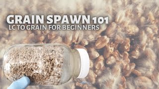 GRAIN SPAWN 101 Start to Finish Tutorial on How to Make Mushroom Grain Spawn from Liquid Culture [upl. by Gilly439]