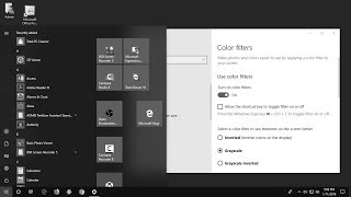 Fix Black amp White Screen Color Issue in Windows 10 [upl. by Reger366]