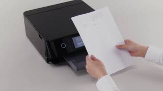 Unpacking and Setting Up a Printer Epson XP8600 NPD6314 [upl. by Adne]