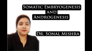 Somatic embryogenesis and Androgenesis by Dr Sonal Mishra [upl. by Alesandrini561]