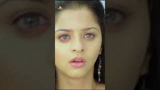 Vedhika with kalyan Ram  Vijayadasami  Shorts  YoutubeShorts  ComedyShorts  SriBalajiVideo [upl. by Naeloj22]