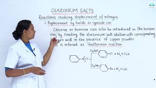 CHEMISTRY 9 4 4 CHEMICAL REACTIONS OF DIAZONIUM SALTS [upl. by Cheryl]