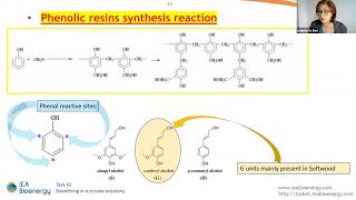 Sustainable Lignin Valorisation [upl. by Osrit]