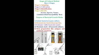 Stage of Bacterial Culture Methods and Purpose of Bacterial Growth Media geneticteacher [upl. by Hyacinth782]