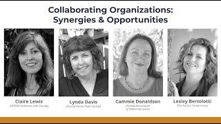 OUTSIDE Collab 2023 Collaborating Organizations  Synergies amp Opportunities [upl. by Eiuol]