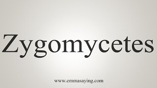 How To Say Zygomycetes [upl. by Anneh]