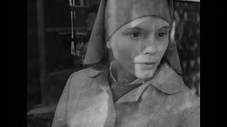 Ida  Official Trailer [upl. by Arlene]