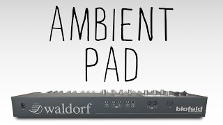 Waldorf Blofeld Single Patch  Eventide Space amp TimeFactor Evolving Ambient Pad [upl. by Olatha]