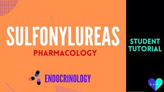 Sulfonylureas  Medical Tutorial [upl. by Malamud]