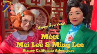 Meet Mei Lee and Ming Lee from Turning Red for the Lunar New Year at Disney California Adventure [upl. by Blancha]