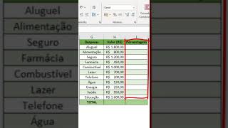 Porcentagem básica no Excel [upl. by Noram]