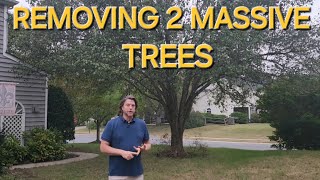 Removing 2 Massive Trees From My Front Yard Gardening with Grayson [upl. by Walther402]