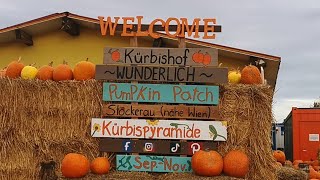 Pumpkin Patch Stockerau  Kürbishof [upl. by Noned]