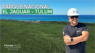 DESCUBRE EL PARQUE NACIONAL EL JAGUAR EN TULUM [upl. by Farrica296]