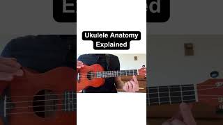 Parts of the Ukulele Explained shorts [upl. by Ot205]