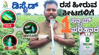 🌱ಎಲ್ಲ ಕೀಟಗಳಿಗೆ ಒಂದೆ ಔಷಧ Decide One stop solution Dhanuka Decide💥😲 [upl. by Nnaeerb]